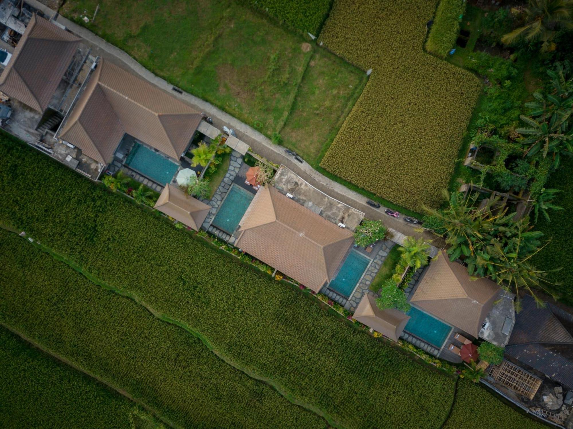 Happy Honeymoon Private Villa Ubud  Ngoại thất bức ảnh
